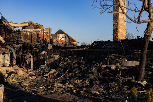 Trusted Fire Damage Removal service in Hamel, MN - Fire Damage Laser Cleaning