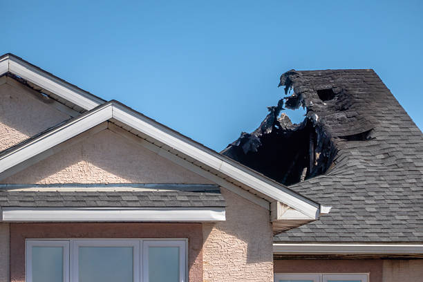 Top rated local Fire Damage Removal specialists in Hamel, MN